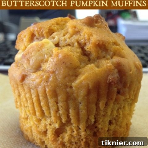 Butterscotch Pumpkin Muffins