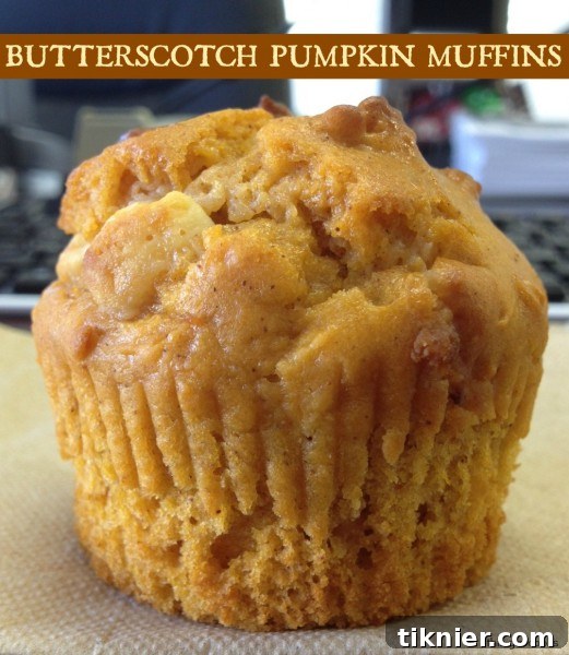 Butterscotch Pumpkin Muffins on a cooling rack