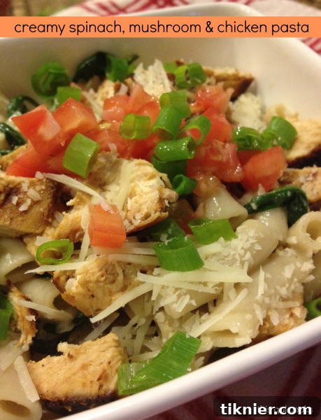 Close-up of creamy chicken pasta with vibrant spinach and mushrooms, ready to be served