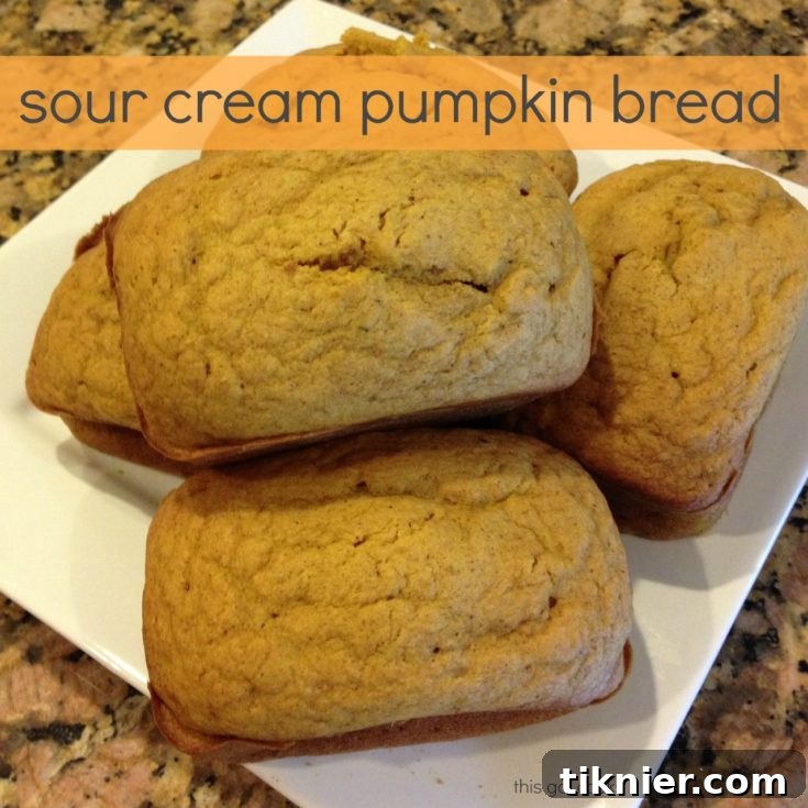 Overhead view of several mini Sour Cream Pumpkin Loaves on a cooling rack, ready to be enjoyed.