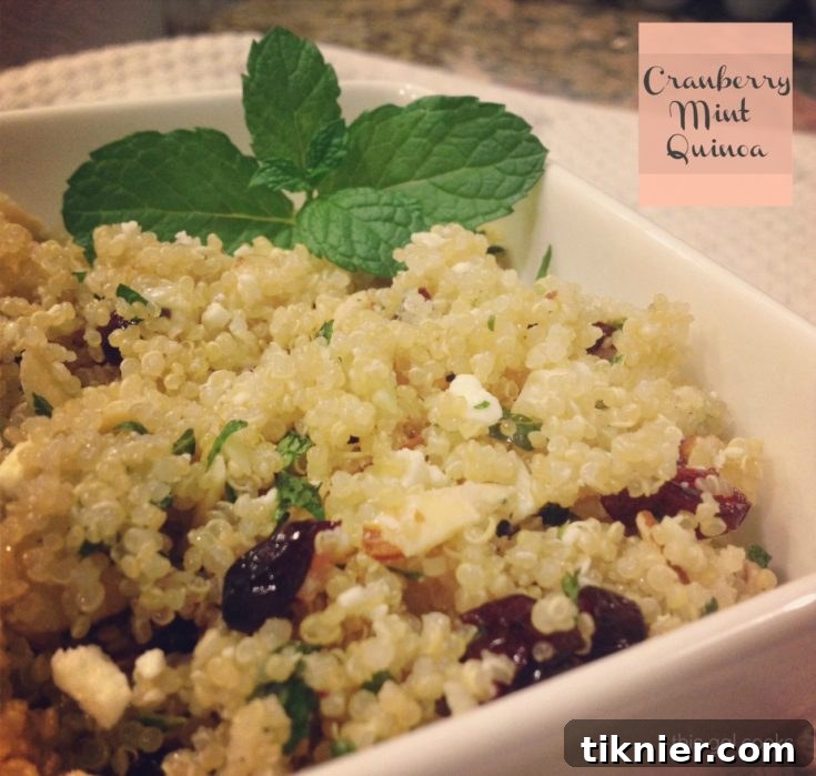 Cranberry Mint Quinoa final presentation
