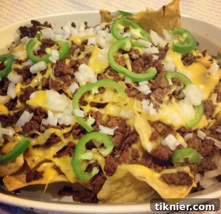 Beefy Nachos final presentation