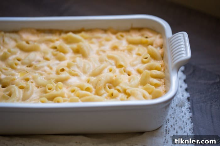 Close-up of baked four cheese macaroni and cheese showing the golden crust and bubbling cheese sauce