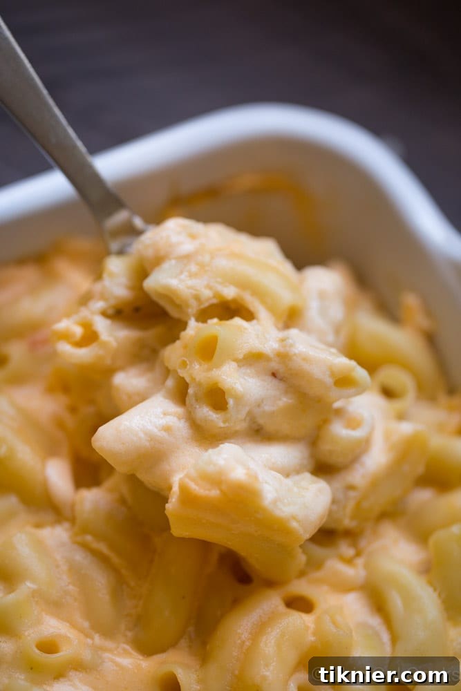 A generous serving of homemade four cheese mac and cheese on a white plate, showcasing its rich and creamy texture.