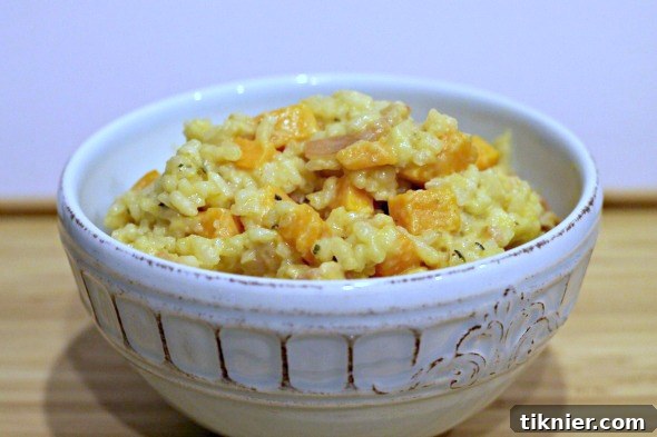 sweetpotatoeshrimprisotto44 - Finished plate of Sweet Potato and Shrimp Risotto, ready to enjoy.