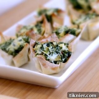 A perfectly golden Spinach and Artichoke Wonton