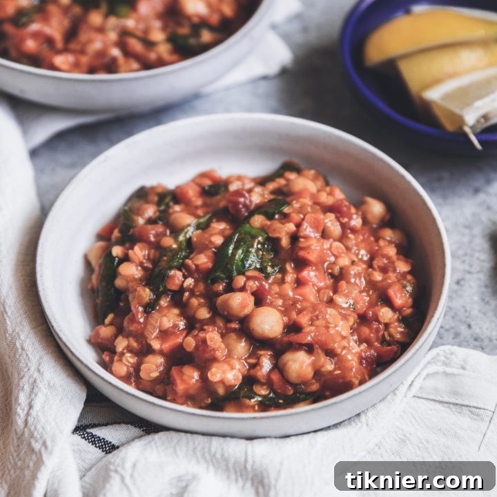 Moroccan Chickpea and Lentil Stew