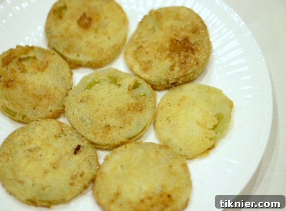 fried-green-tomatoes2