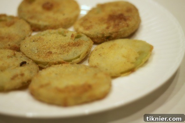 fried green tomatoes22
