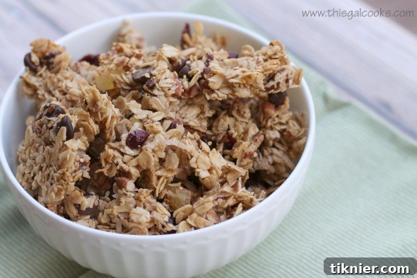 Chocolaty Fruit N Pecan Granola4wm