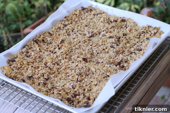 Chocolaty Fruit N Pecan Granolawm