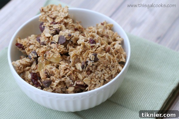 Chocolaty Fruit N Pecan Granola3wm
