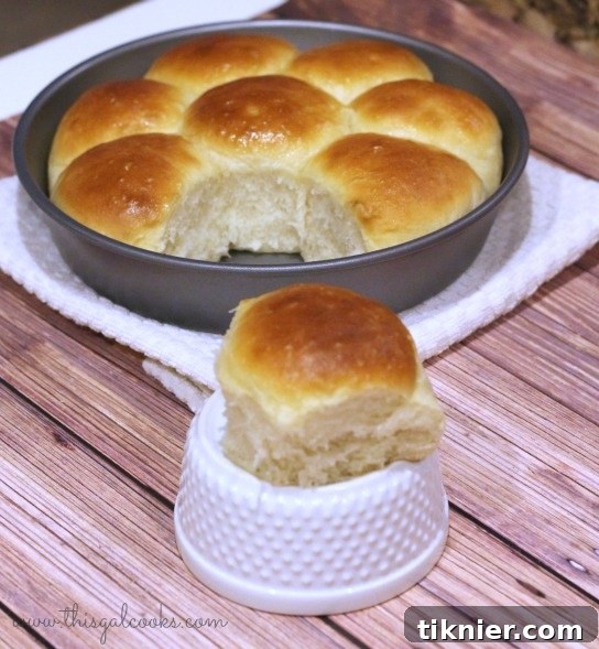 Honey Butter Dinner Rolls