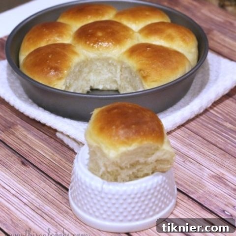 Recipe: Honey Butter Dinner Rolls