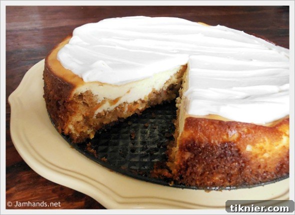 Decadent Cheesecake Factory Copycat Carrot Cake Cheesecake recipe by Jam Hands