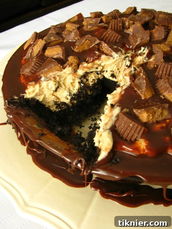 February 24 Featured Finds 6 Reese's Peanut Butter Cup Pie recipe from A Sweet Baker, chocolate peanut butter dessert