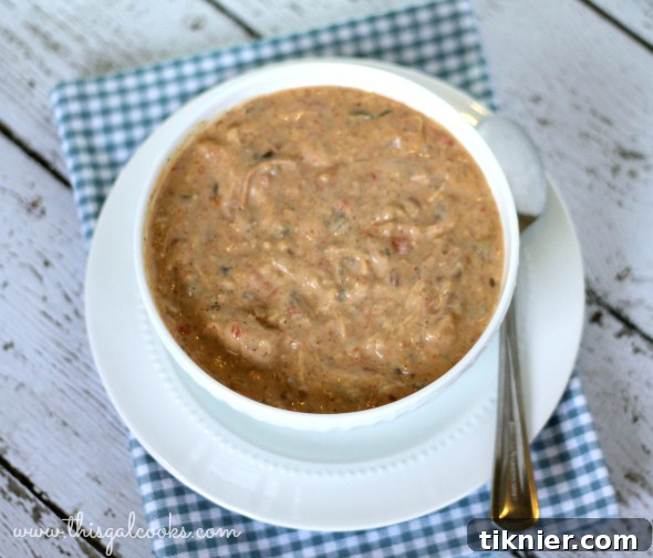 Close-up of Creamy Mexican Style Chicken Soup ready to be served from the slow cooker.