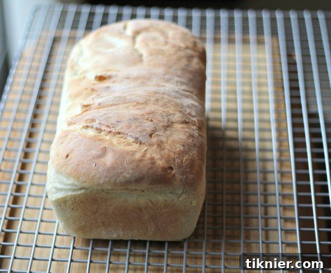 Classic Easy White Bread - A light, fluffy loaf perfect for everyday use.