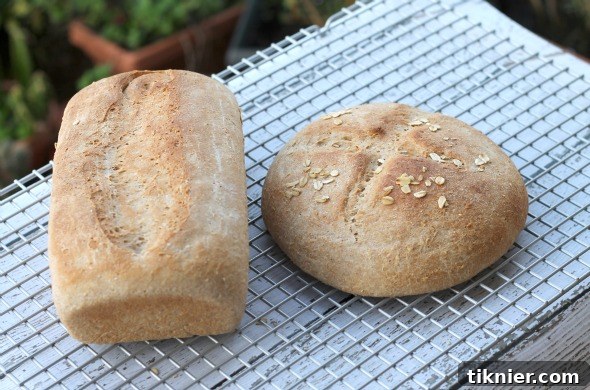 Robust Whole Grain Bread - A rustic loaf with visible grains, offering rich texture.