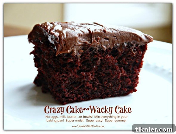 Crazy Cake Recipe by Sweet Little Bluebird