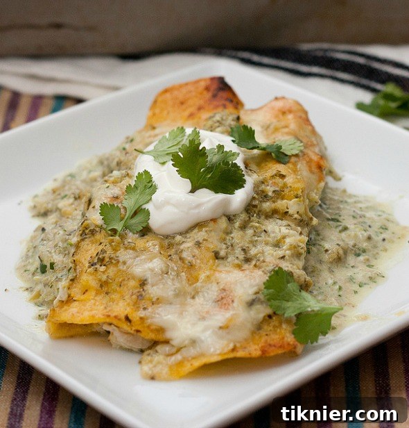 Enchiladas Suizas Recipe by Mackin' Cheese