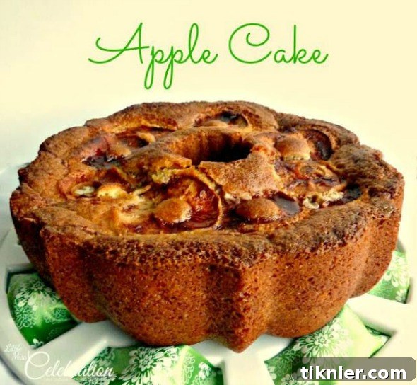 Moist Delicious Apple Cake by Little Miss Celebration