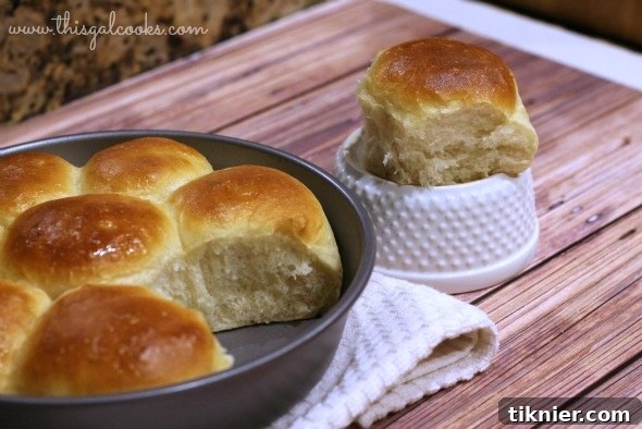 Fluffy honey butter dinner rolls