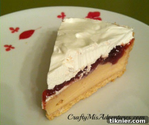 Delicious Peanut Butter and Jelly Pie slice