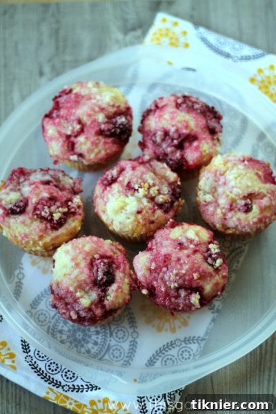 Close-up of baked Raspberry Lemon Muffins with crumb topping, ready for breakfast or snack time.