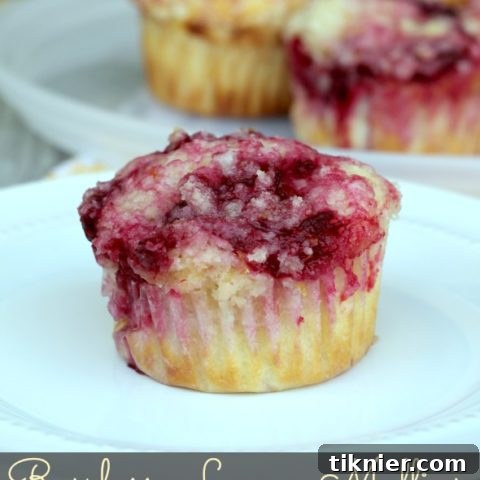 Raspberry Lemon Muffins with a crumb topping