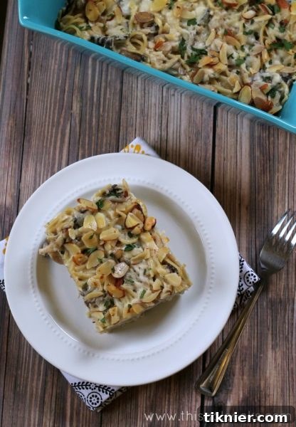 Close-up of baked Chicken Tetrazzini, showing golden cheese and creamy texture.