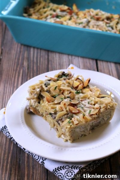 Close-up of a serving of Chicken Tetrazzini topped with fresh parsley.