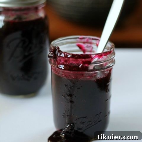 Delicious Homemade Blueberry Preserves ready to be served
