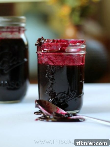 Homemade Blueberry Preserves from www.thisgalcooks.com, a vibrant jar of freshly made fruit spread ready to be enjoyed with a spoon resting beside it.