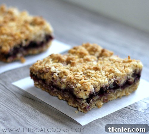 Blueberry White Chocolate Bliss Bars 4 Close-up of White Chocolate Blueberry Bars, showcasing the crumbly top and fruit filling.