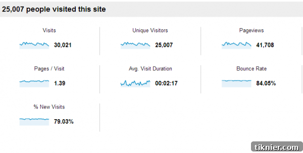Google Analytics Overview of Visits, Unique Visitors, and Page Views.