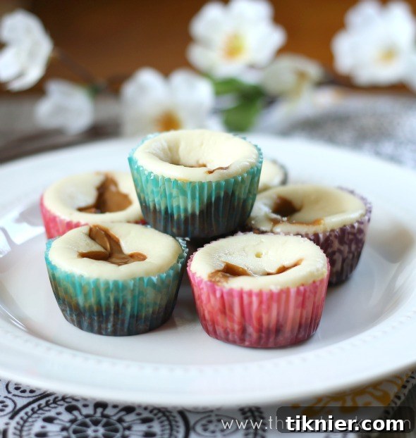 Grain-Free Dulce de Leche Cheesecake Bites, rich and creamy mini cheesecakes with a sweet caramel swirl.