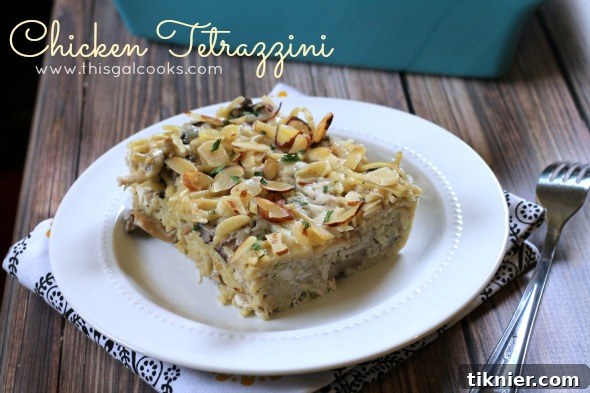 Chicken Tetrazzini with pasta, chicken, and mushrooms in a creamy sauce.