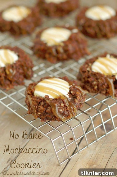 Delicious No Bake Mochaccino Cookies, featuring a tempting blend of coffee and chocolate, perfect for a quick and satisfying sweet treat.