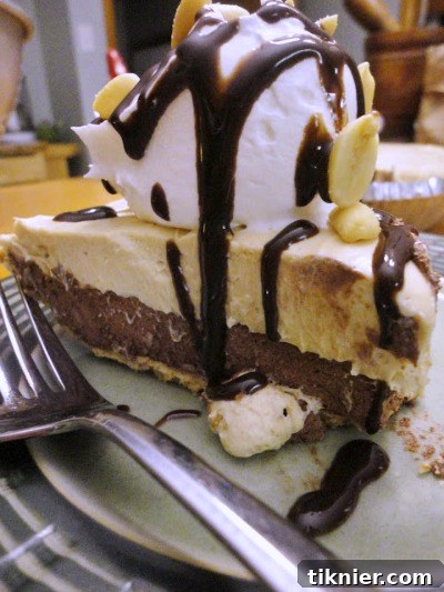 A creamy and rich Peanut Butter Chocolate Mousse Pie, garnished with delicate chocolate shavings, showcasing a harmonious blend of two beloved flavors.