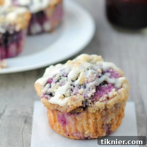 Blueberry Coffee Cake Muffins, a delightful breakfast or dessert treat.