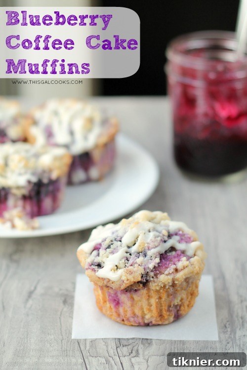 Delicious Blueberry Coffee Cake Muffins with Streusel Topping from This Gal Cooks