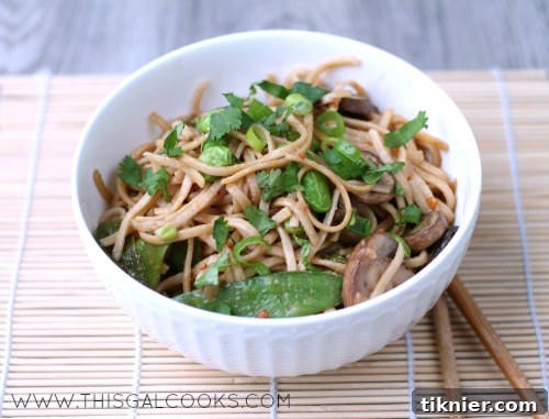 Freshly cooked Stir Fry Vegetable Lo Mein in a serving bowl, garnished with green onions.