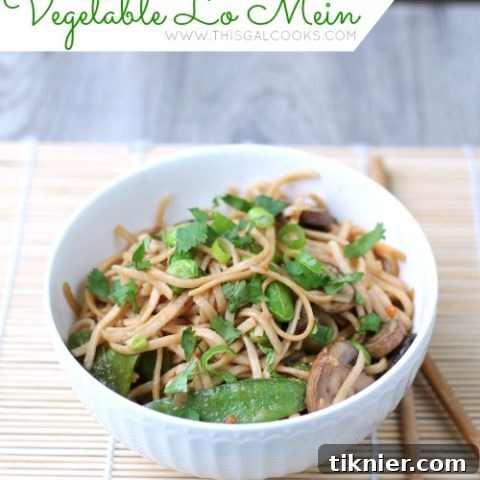 Stir Fry Vegetable Lo Mein ready to serve, garnished with fresh cilantro and green onions.