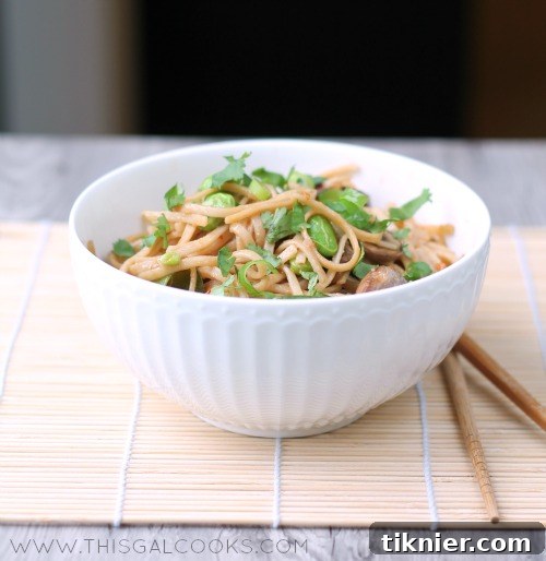 Full spread of Stir Fry Vegetable Lo Mein with garnishes.