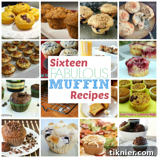 16 Muffin Recipes that won't disappoint you! Compilation from www.thisgalcooks.com, perfect for breakfast or snacks.