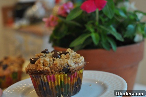 Best Ever Raspberry Chocolate Chip Muffins