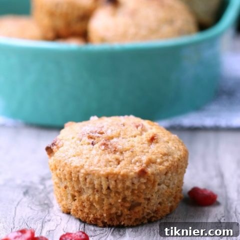 Freshly baked Vegan Apple Berry Bran Muffins, golden brown and topped with cinnamon sugar.