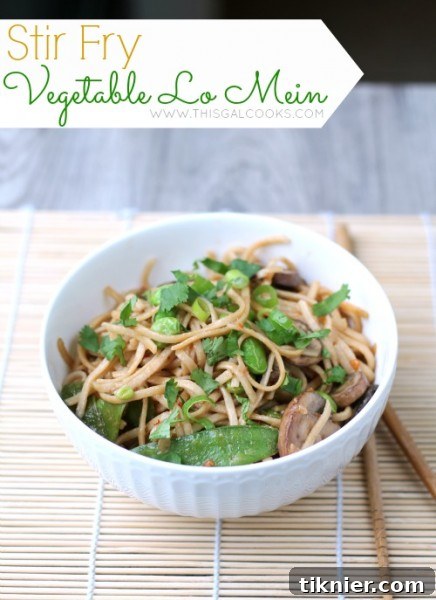Vegetable Stir Fry Lo Mein from www.thisgalcooks.com #lomein #vegetarian 2WM