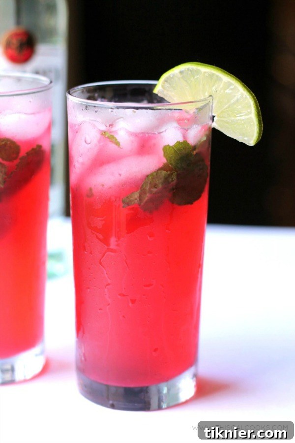 Another enticing perspective of a Blackberry Mojito, highlighting the vibrant purple liquid and the carefully arranged garnishes of mint, lime, and whole blackberries against a softly blurred background.